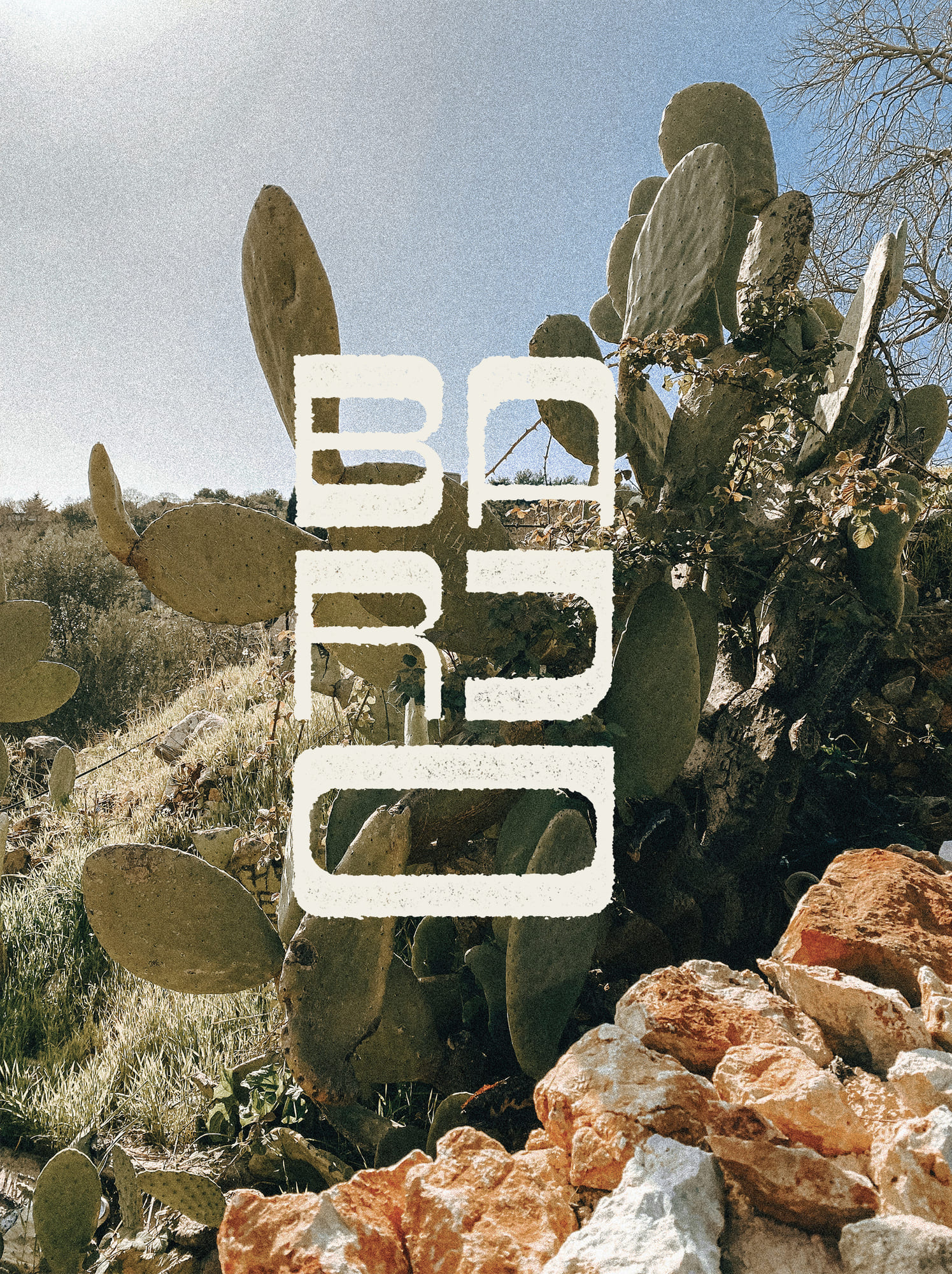 Logo de la nouvelle identité graphique de Barjo à Waterloo